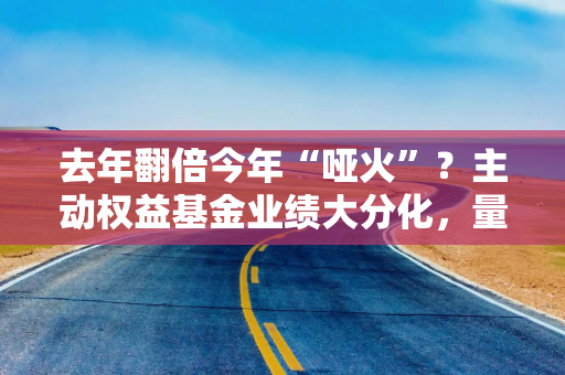 去年翻倍今年“哑火”?主动权益基金业绩大分化,量化策略成胜负手