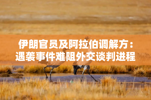 伊朗官员及阿拉伯调解方:遇袭事件难阻外交谈判进程
