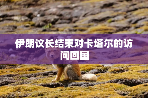 伊朗议长结束对卡塔尔的访问回国