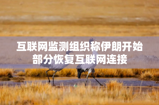 互联网监测组织称伊朗开始部分恢复互联网连接
