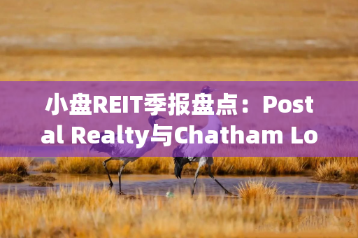 小盘REIT季报盘点:Postal Realty与Chatham Lodging业绩分化