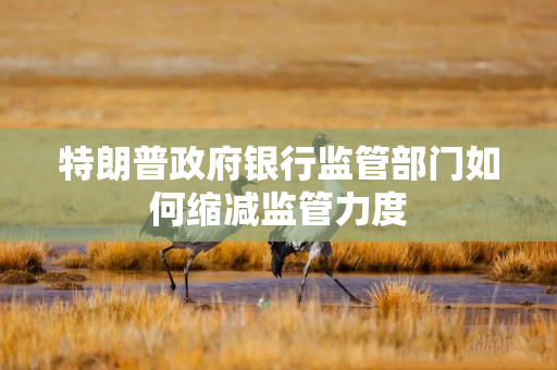 特朗普政府银行监管部门如何缩减监管力度