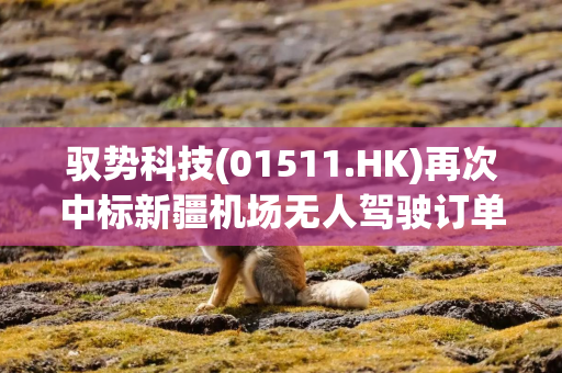 驭势科技(01511.HK)再次中标新疆机场无人驾驶订单,新增10台巴士与6台配送车