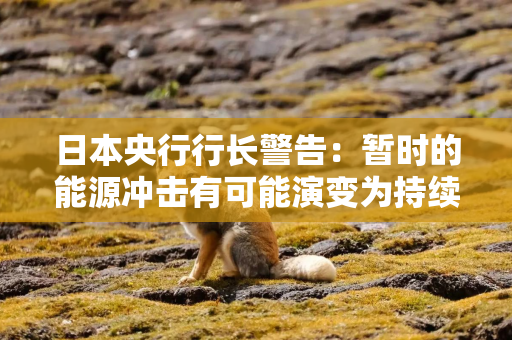 日本央行行长警告:暂时的能源冲击有可能演变为持续性危机
