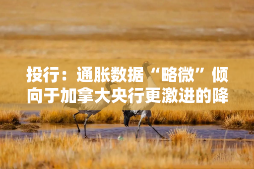 投行：通胀数据“略微”倾向于加拿大央行更激进的降息路径