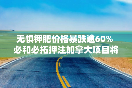 无惧钾肥价格暴跌逾60% 必和必拓押注加拿大项目将盈利