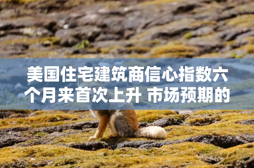美国住宅建筑商信心指数六个月来首次上升 市场预期的美联储降息在即