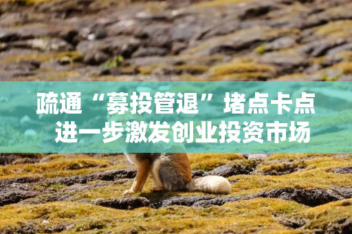 疏通“募投管退”堵点卡点  进一步激发创业投资市场活力