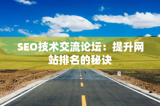 SEO技术交流论坛：提升网站排名的秘诀