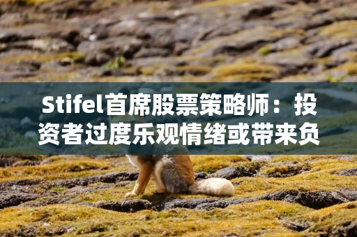 Stifel首席股票策略师：投资者过度乐观情绪或带来负面影响
