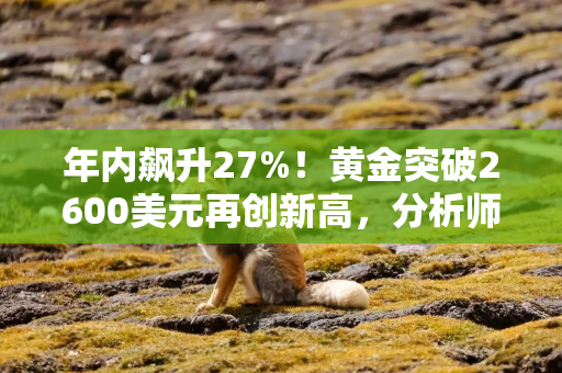 年内飙升27%！黄金突破2600美元再创新高，分析师警告：回调将至