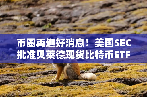 币圈再迎好消息！美国SEC批准贝莱德现货比特币ETF期权上市