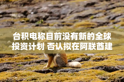台积电称目前没有新的全球投资计划 否认拟在阿联酋建厂传闻
