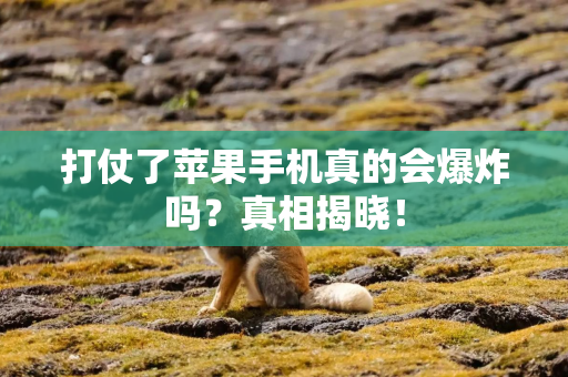 打仗了苹果手机真的会爆炸吗？真相揭晓！