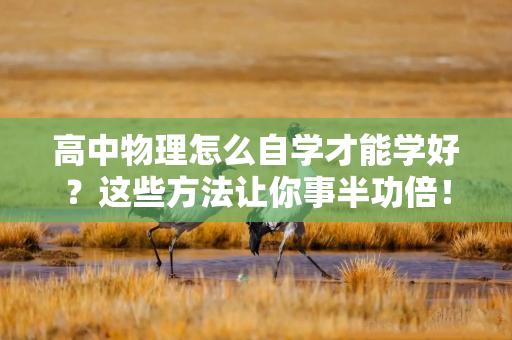 高中物理怎么自学才能学好？这些方法让你事半功倍！