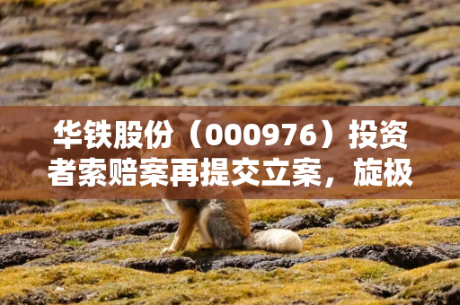 华铁股份（000976）投资者索赔案再提交立案，旋极信息（300324）索赔案倒计时一个月