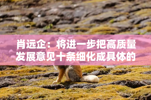 肖远企：将进一步把高质量发展意见十条细化成具体的举措