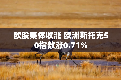 欧股集体收涨 欧洲斯托克50指数涨0.71%