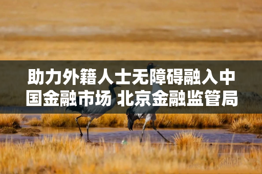 助力外籍人士无障碍融入中国金融市场 北京金融监管局发布中英金融服务指南