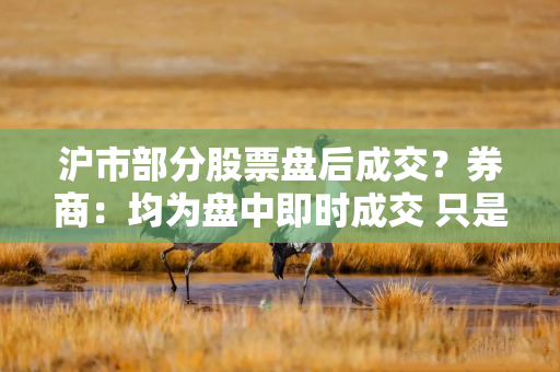 沪市部分股票盘后成交？券商：均为盘中即时成交 只是反馈到投资者账户延迟