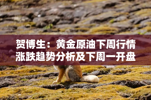 贺博生：黄金原油下周行情涨跌趋势分析及下周一开盘最新操作建议