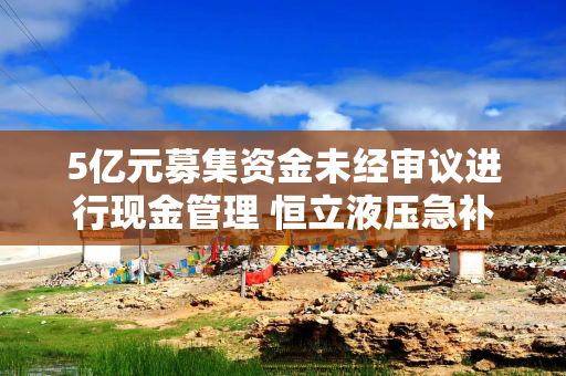 5亿元募集资金未经审议进行现金管理 恒立液压急补“漏洞”