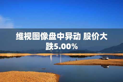 维视图像盘中异动 股价大跌5.00%