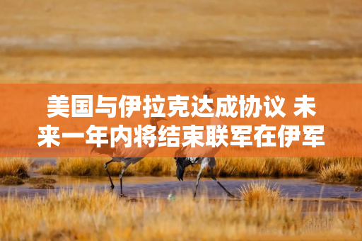 美国与伊拉克达成协议 未来一年内将结束联军在伊军事任务