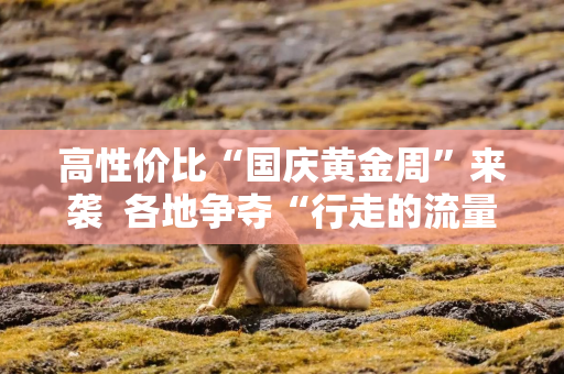 高性价比“国庆黄金周”来袭  各地争夺“行走的流量”