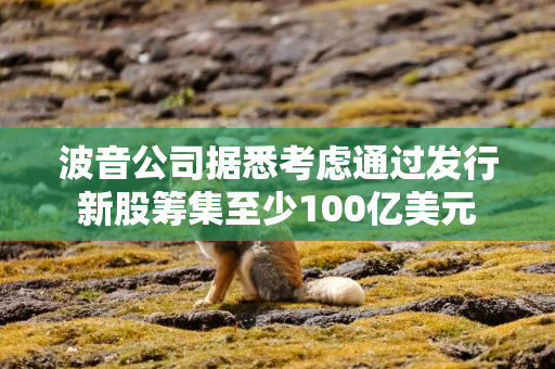 波音公司据悉考虑通过发行新股筹集至少100亿美元
