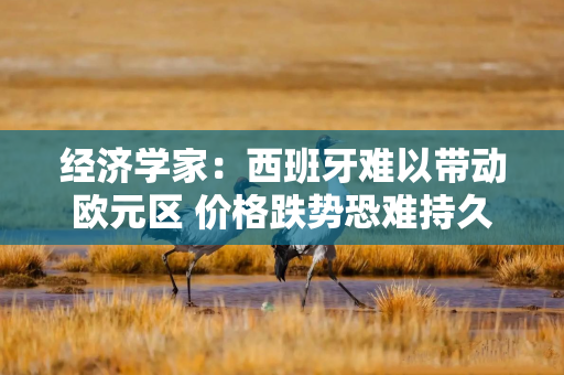 经济学家:西班牙难以带动欧元区 价格跌势恐难持久
