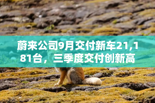 蔚来公司9月交付新车21,181台,三季度交付创新高