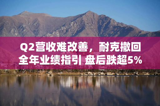 Q2营收难改善，耐克撤回全年业绩指引 盘后跌超5%
