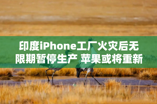 印度iPhone工厂火灾后无限期暂停生产 苹果或将重新依赖中国供应链