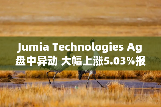 Jumia Technologies Ag盘中异动 大幅上涨5.03%报5.43美元