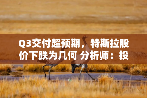 Q3交付超预期，特斯拉股价下跌为几何 分析师：投资者期待的比预期更高