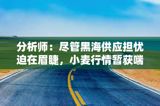 分析师：尽管黑海供应担忧迫在眉睫，小麦行情暂获喘息空间