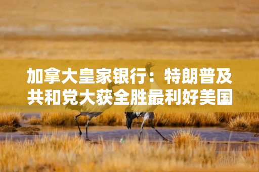 加拿大皇家银行：特朗普及共和党大获全胜最利好美国股市