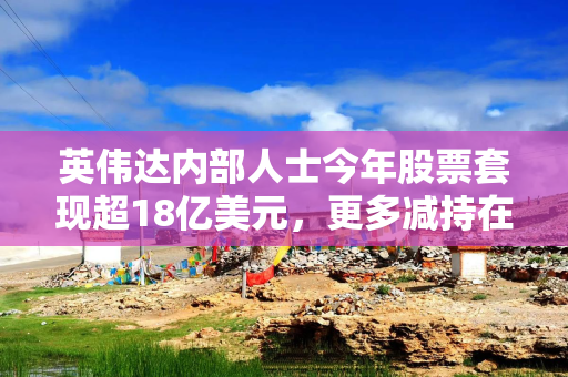 英伟达内部人士今年股票套现超18亿美元，更多减持在路上