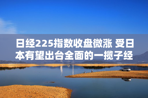日经225指数收盘微涨 受日本有望出台全面的一揽子经济方案前景提振