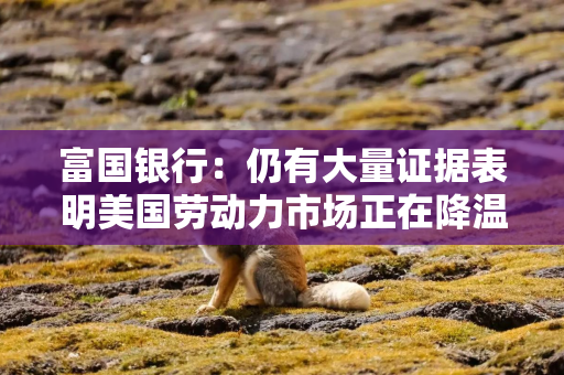 富国银行：仍有大量证据表明美国劳动力市场正在降温