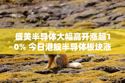 盛美半导体大幅高开涨超10% 今日港股半导体板块涨幅一度突破50%