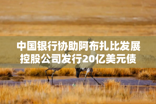 中国银行协助阿布扎比发展控股公司发行20亿美元债券