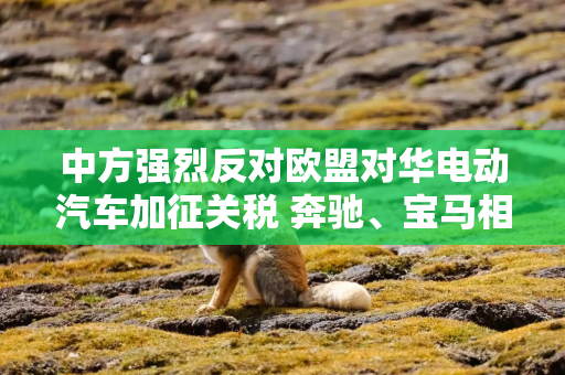中方强烈反对欧盟对华电动汽车加征关税 奔驰、宝马相继表态