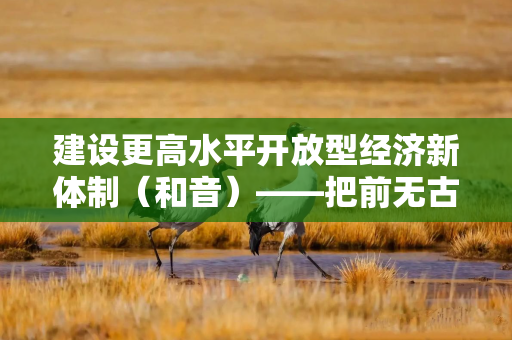 建设更高水平开放型经济新体制（和音）——把前无古人的伟大事业不断推向前进②