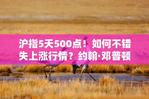 沪指5天500点！如何不错失上涨行情？约翰·邓普顿这样说……