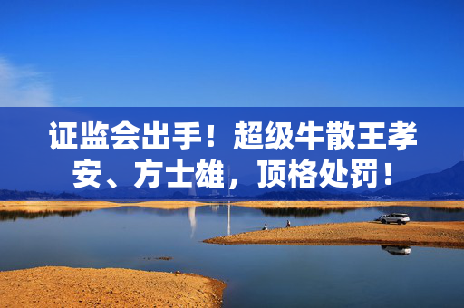证监会出手！超级牛散王孝安、方士雄，顶格处罚！