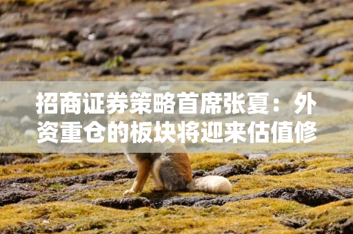 招商证券策略首席张夏:外资重仓的板块将迎来估值修复 主要包含这些板块