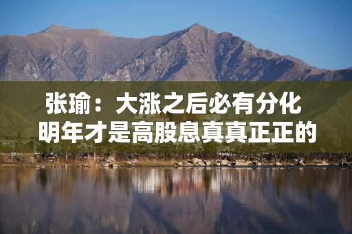 张瑜：大涨之后必有分化 明年才是高股息真真正正的下半场