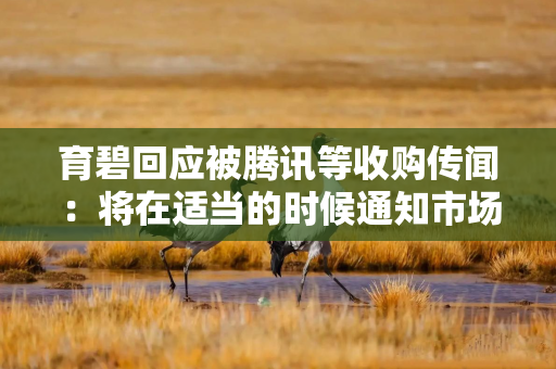 育碧回应被腾讯等收购传闻：将在适当的时候通知市场